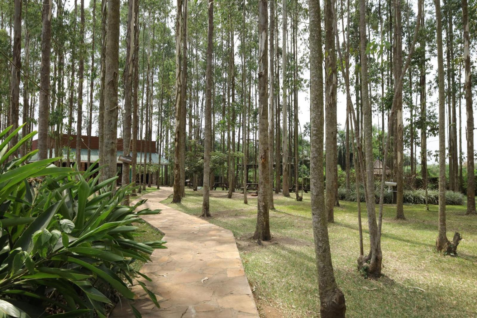 卡巴雷加度假酒店 Masindi 外观 照片
